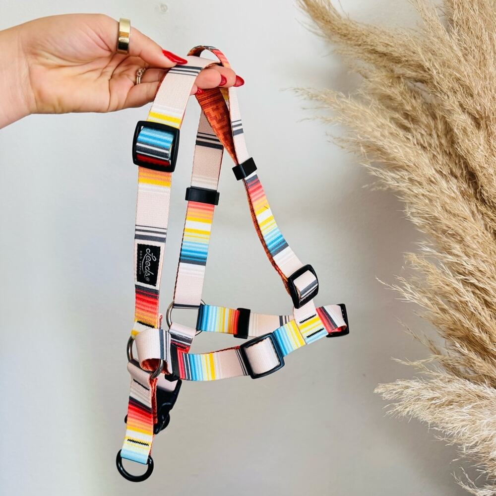 NEW LEEDS Califia Cream Orange Stripe Buckle Dog Collar Step In Harness $85 Set - Picture 13 of 13